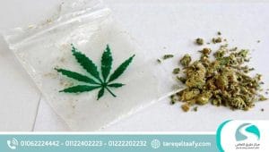 الرئيسية 24 علاج إدمان البانجو واستعادة حياتك في مركز طريق التعافي لعلاج الإدمان