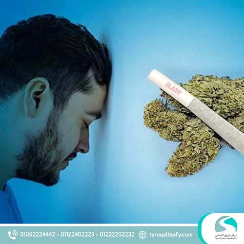 علاج إدمان البانجو: الدليل الطبي الشامل للتعافي الآمن 2 ما هي أضرار البانجو ؟