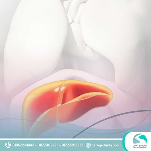 مدة بقاء الكحول في الجسم: الجدول الكامل من مركز طريق التعافي 3 مدة خروج الكحول من الكبد