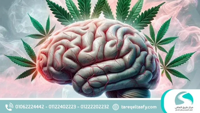 أضرار الحشيش على الذاكرة قصيرة المدى وتأثيره على التركيز والتذكر